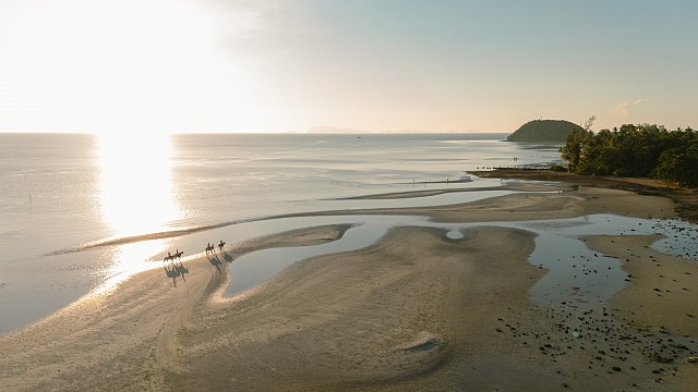 Overview